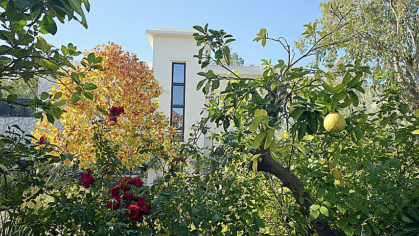 מלון פרא רמת הגולן