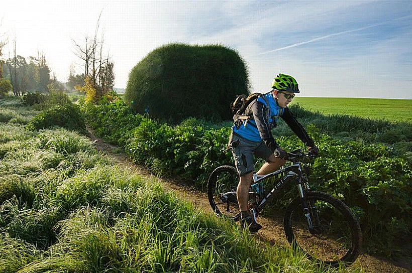 . סינגל יער קהילתי שוקדה