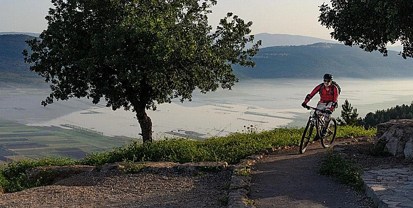 סינגל יער טורען