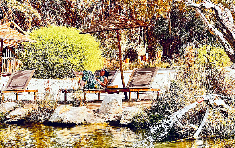 ריזורט הוולנס "Moa Living"