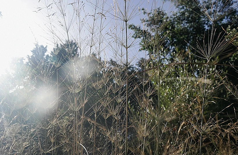"טיול ביום שישי - נשארתי מאחור"
