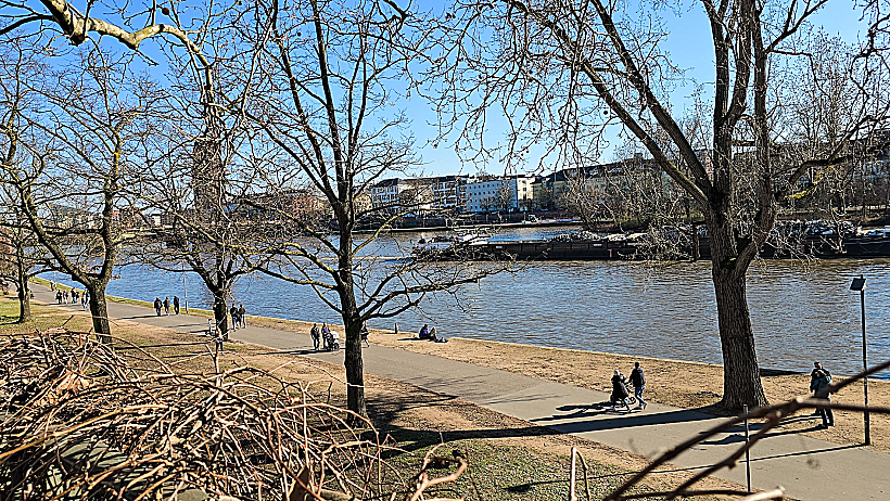 נהר בפרנקפורט