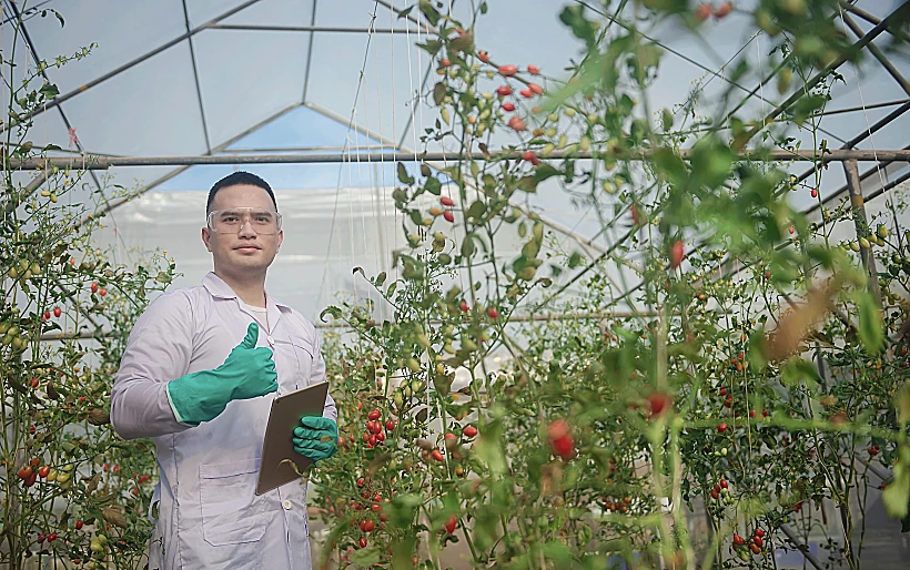 מדובר עדיין בניסוי מעבדתי ולא במוצר שמגיע למדפים
