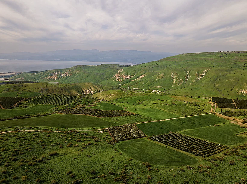 “בדרך חיכתה לנו הפתעה”, סיפר ברכה כשהעביר את התיעוד