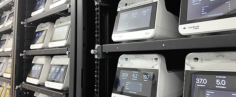 המערכת מורכבת מכ־800 אלף נוירונים חיים, שמונחים על שבב אלקטרוני. השבב מאפשר למדענים לשלוח אותות לתאים – ולקבל מהם תגובות