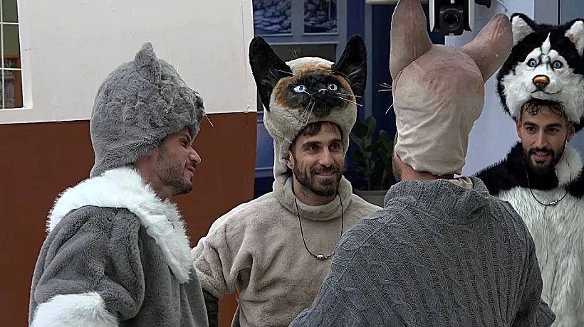 האח הגדול: דניאל משה, תמיר גולן, קורן חתוכה