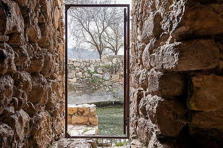 מעיין עין ביכורה