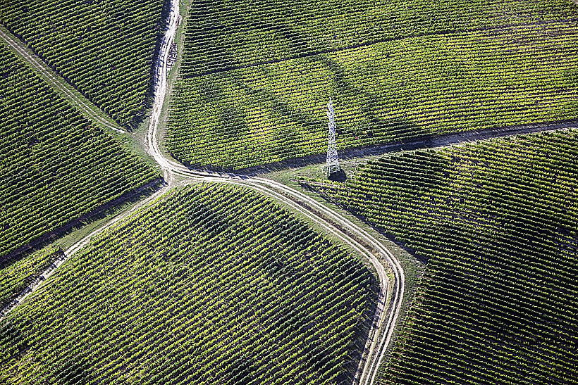כרמים בוילאני -הונגריה
