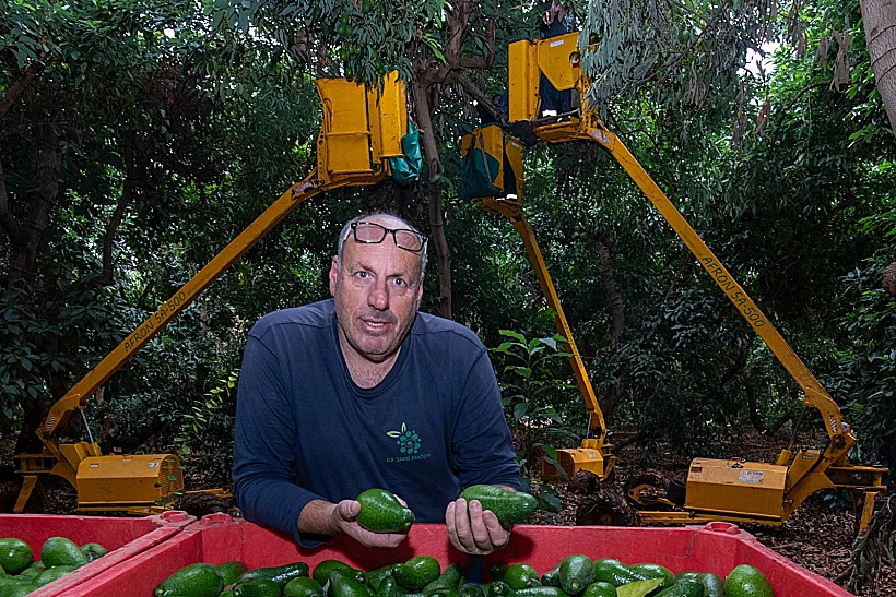 עופר מוסקוביץ