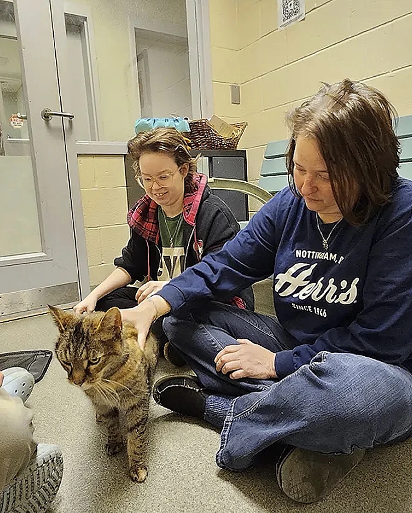 המקרה המפתיע העלה שאלות על איך הצליחה לשרוד כל כך הרבה זמן, ואיך אף אחד לא חיבר בין הסיפור לבעליה המקוריים
