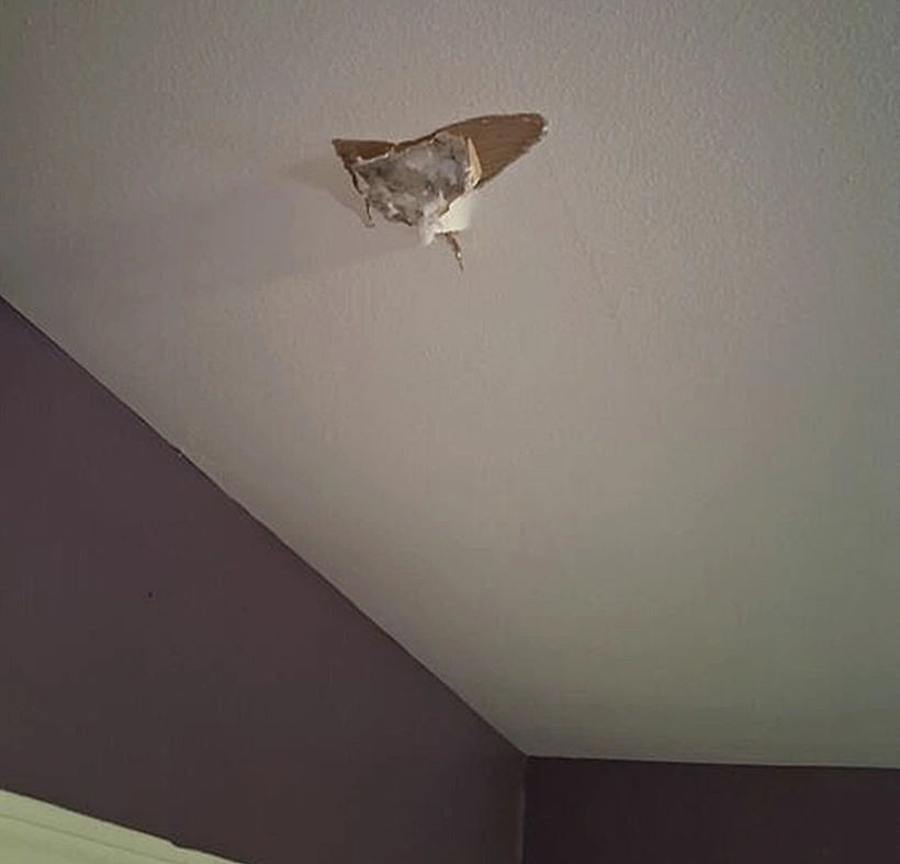 כל זה סביב שאלה אחת פשוטה שממשיכה להדהד: מה בדיוק נפל שם מהשמיים