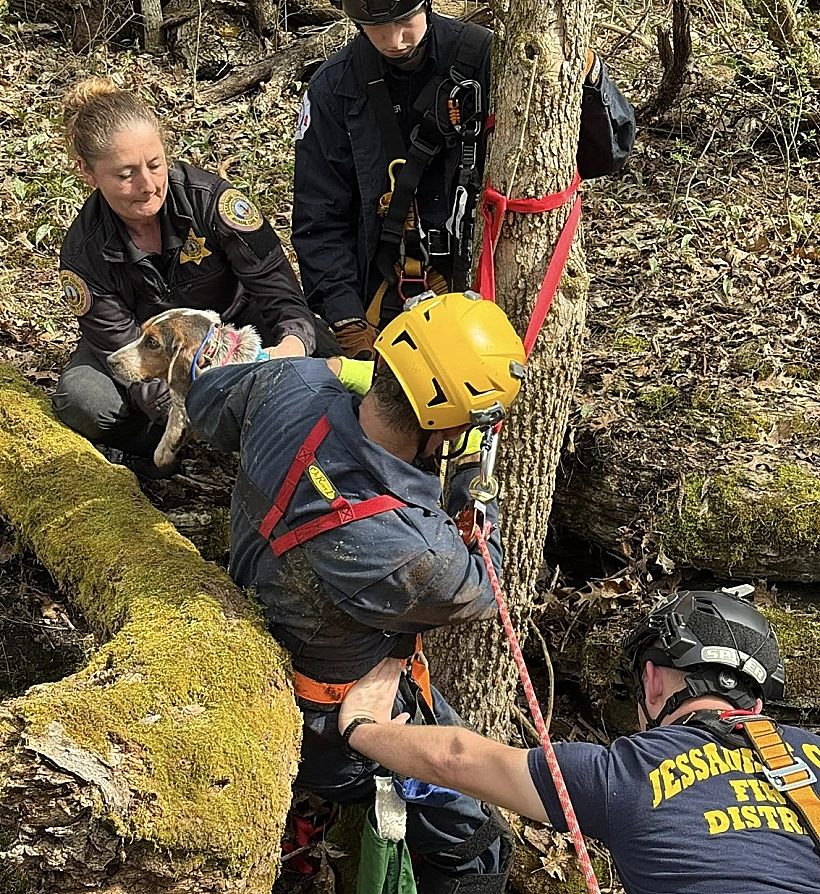 רגעי החילוץ