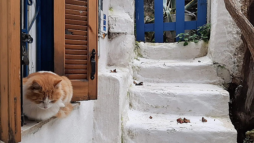 אנפיוטיקה (Anafiotika) אתונה