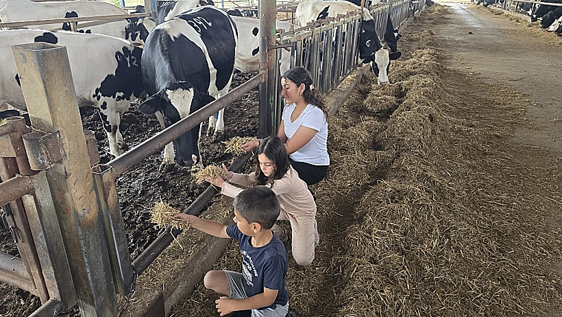 משק דוגמא עמקה