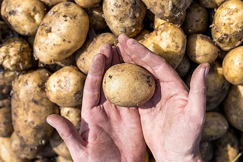 מדובר ביוזמה אישית שנעשתה בזמנו הפנוי במסגרת "גינת חלל