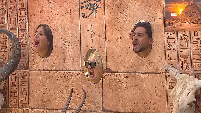 האח הגדול: מכת דבר