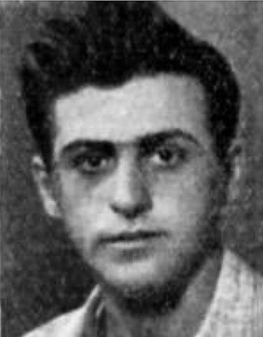 טוראי דב פרמט