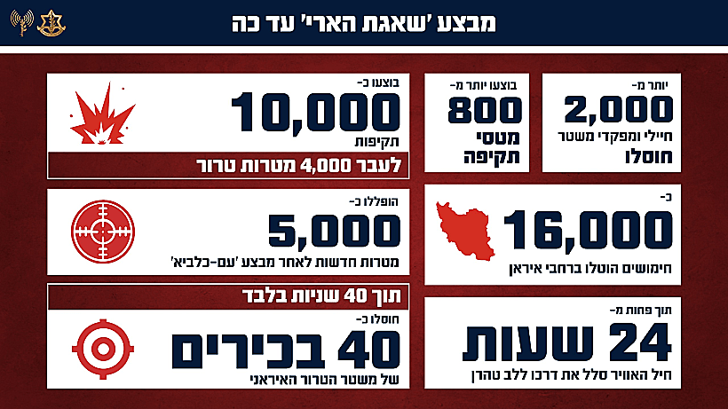 נתוני צה"ל בחודש הראשון למבצע "שאגת הארי"