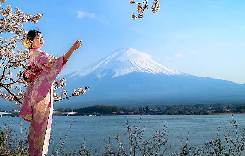 הר פוג'י באביב יפן פריחת דובדבן