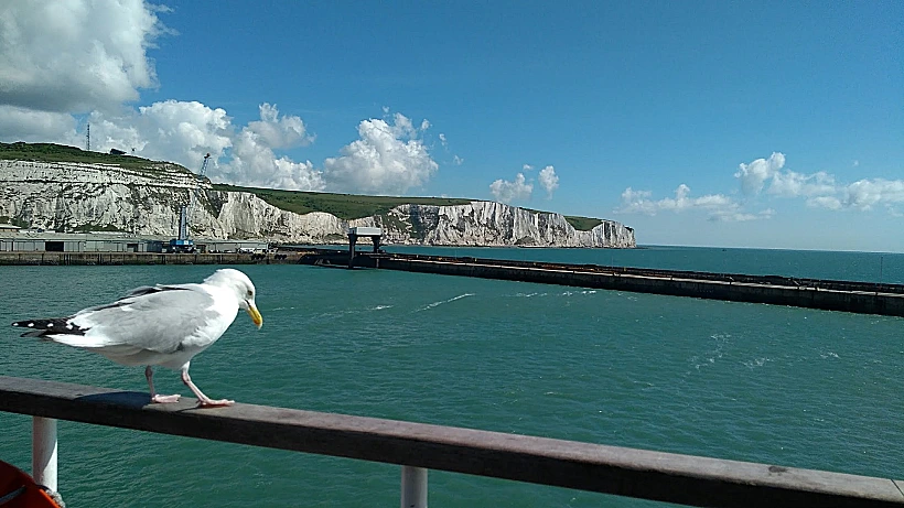 צוקי דובר ותעלת למאנש