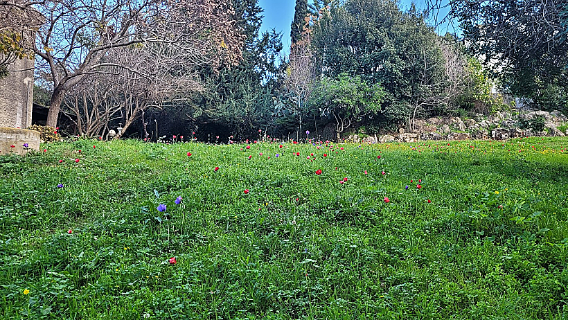 שביל סובב קיבוץ דליה