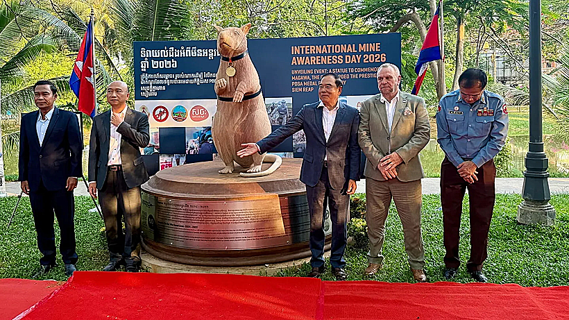 נחשף פסל לזכרו של מגאווה (כן, זה השם שלה), חולדה אפריקאית שהוכשרה לאיתור מוקשים