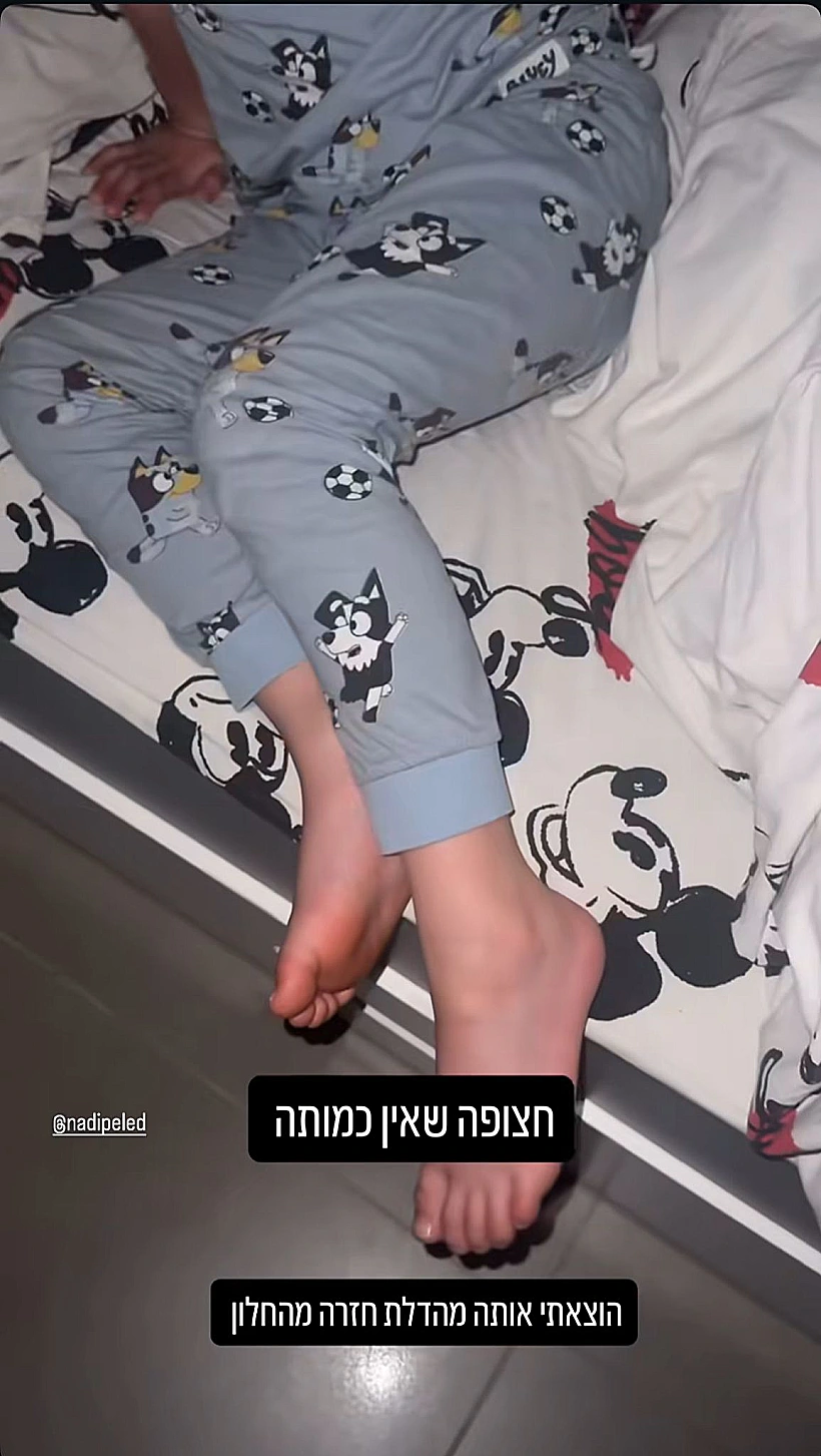 ברי החמוד