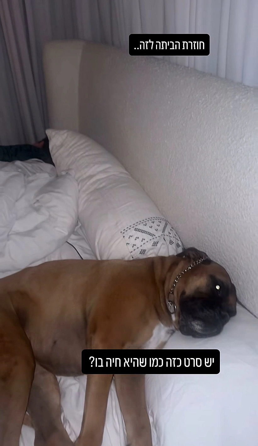 הסטורי המחשיד של עדי הימלבלוי