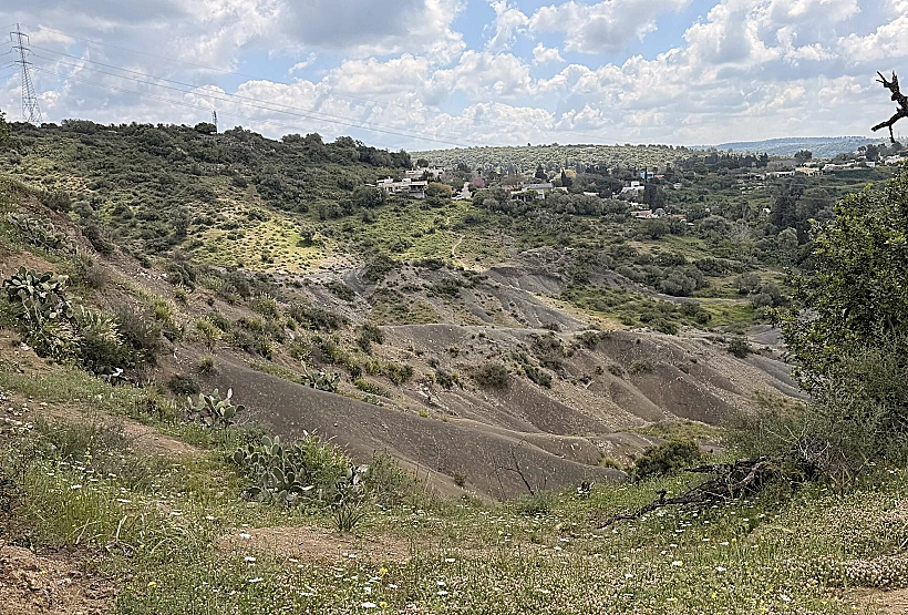 שמורת טוף כרם מהר"ל