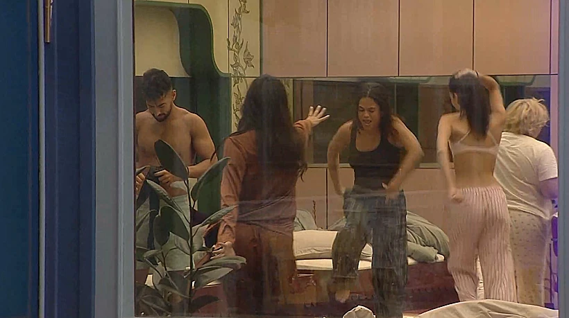 האח הגדול: פטל, טל וגל