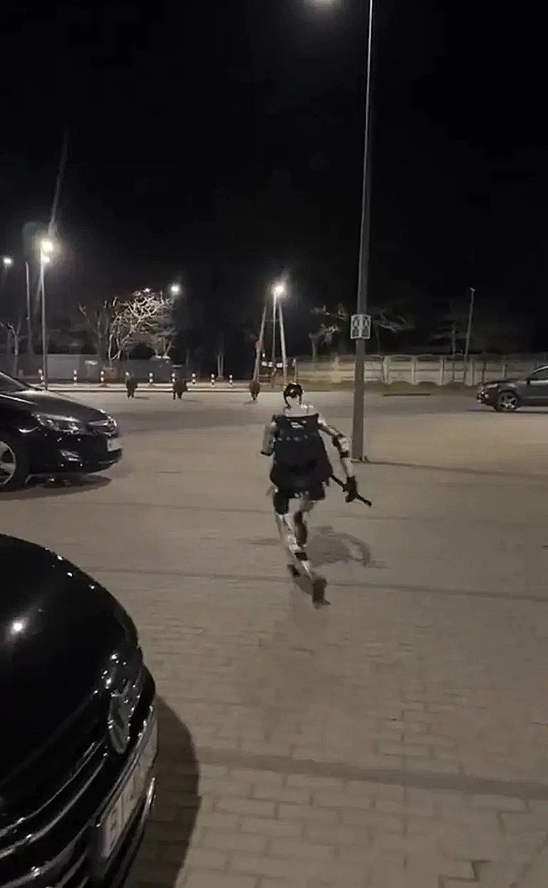 רובוט דמוי אדם שמנסה לגרש עדר חזירי בר בעיר אירופית