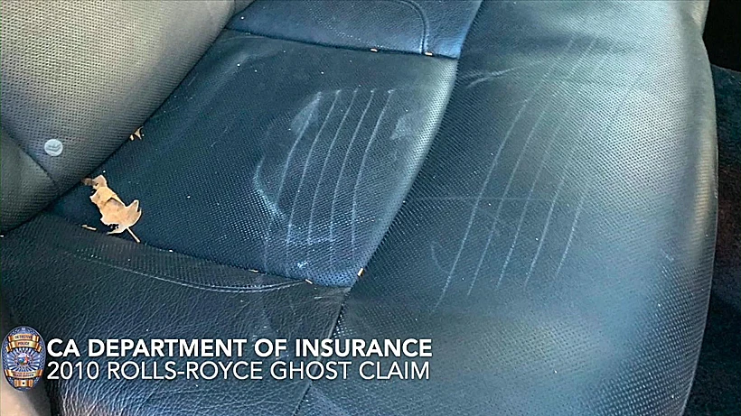 לפחות במבט ראשון, כמו תקיפה של חיית בר