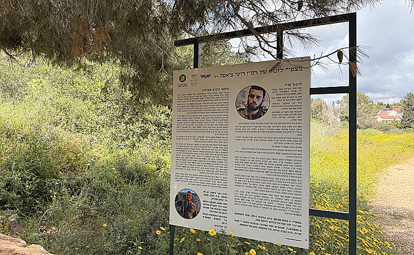 מצפור רועי בזכרון יעקב