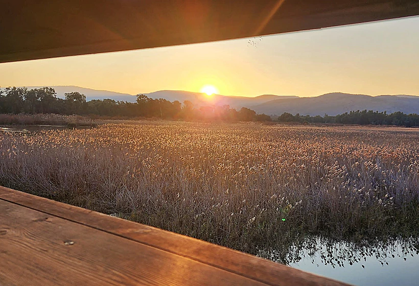 אגמון החולה-קק"ל בזריחה