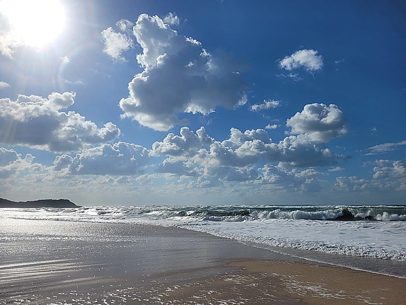 גן לאומי חוף פלמחים Zar