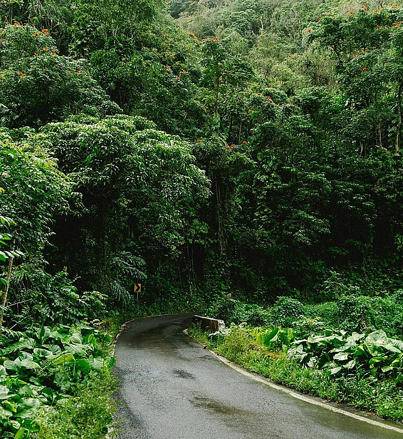 הדרך להאנה (Hana) הוואי