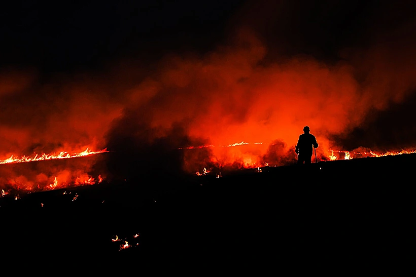 אדם צופה בשריפה ביער