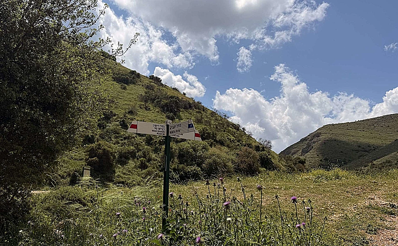 מפגש השבילים הכחול והאדום נחל דישון