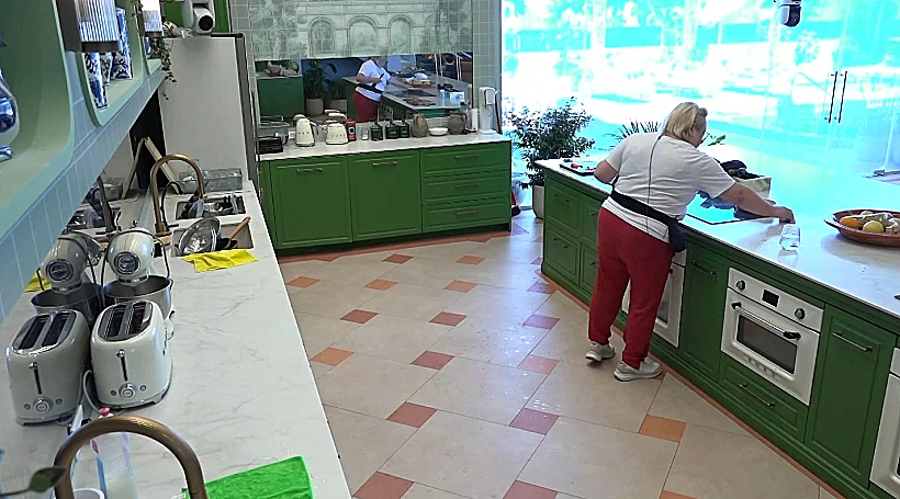 האח הגדול: פאינה