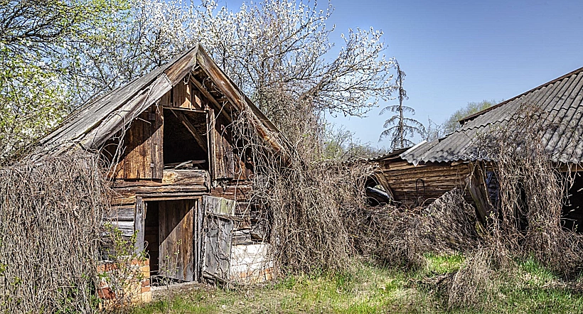 האנשים שחזרו למרות הכול