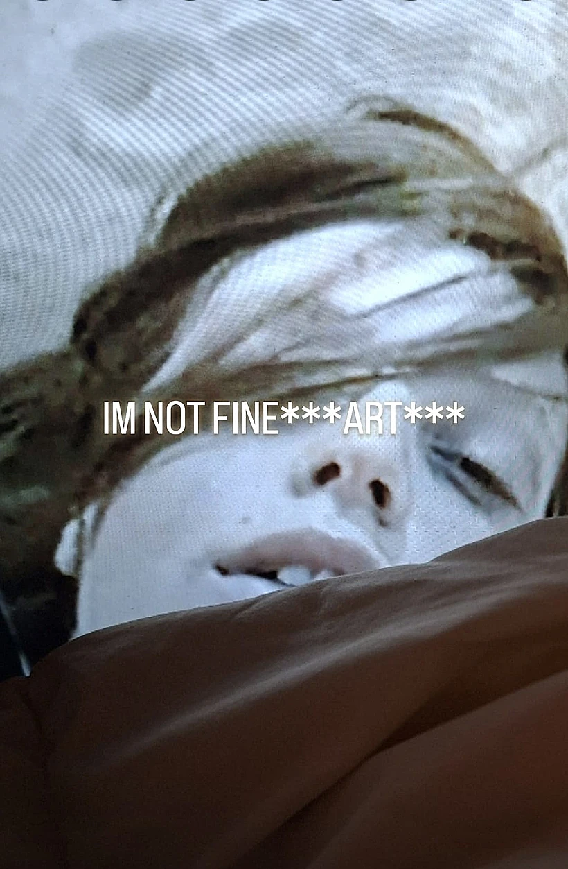 מתוך התערוכה "I'm Not Fine Art"