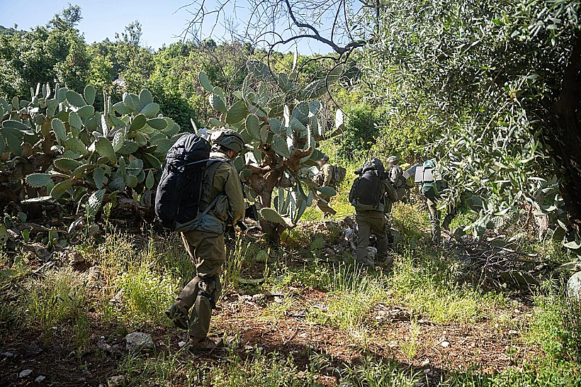 כוחות יחידת האלפיניסטים במרחב הר דב הלבנוני