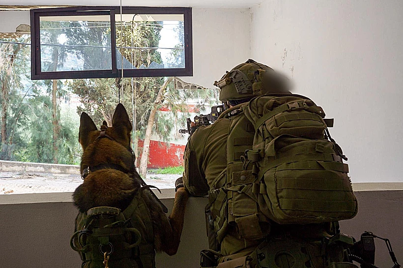 כוחות גבעתי בבינת ג'בייל