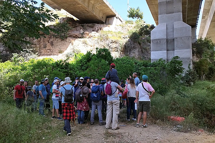 הליכות ג'יין חיפה