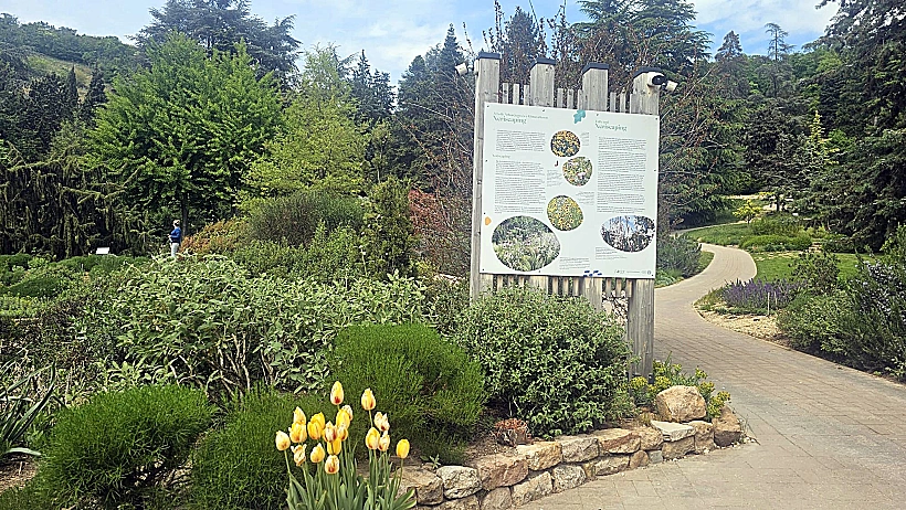 Folly Arboretum אגם בלטון הונגריה