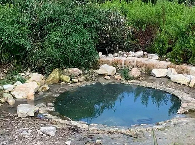 עין שיח חיפה