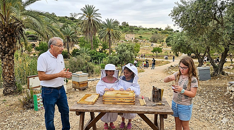 פעילות שבועות בנאות קדומים