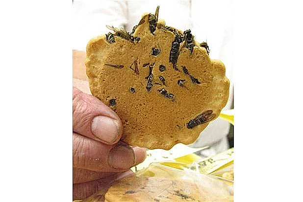 Jibachi Senbei