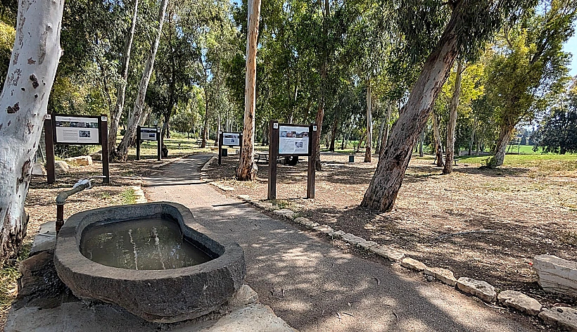 עמק יזרעאל חורשת סלובניה