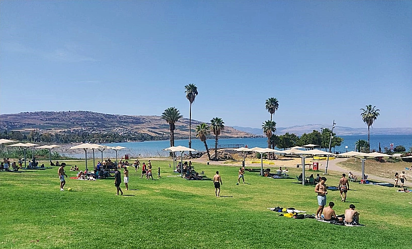 חוף צמח
